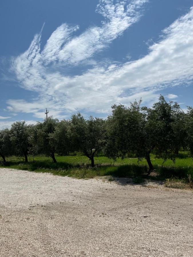 הוילה Torrevecchia Teatina Il Casale Del Nonno Armando מראה חיצוני תמונה